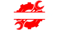 New-1.webp